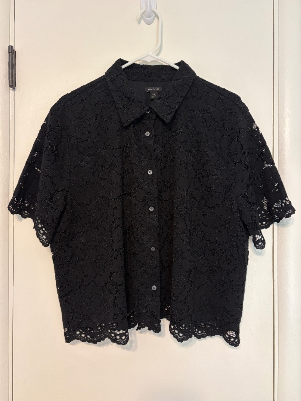 Ann Taylor Women's S/S Modern Black Lace Button-Front Shirt Top Blouse XXL 2025